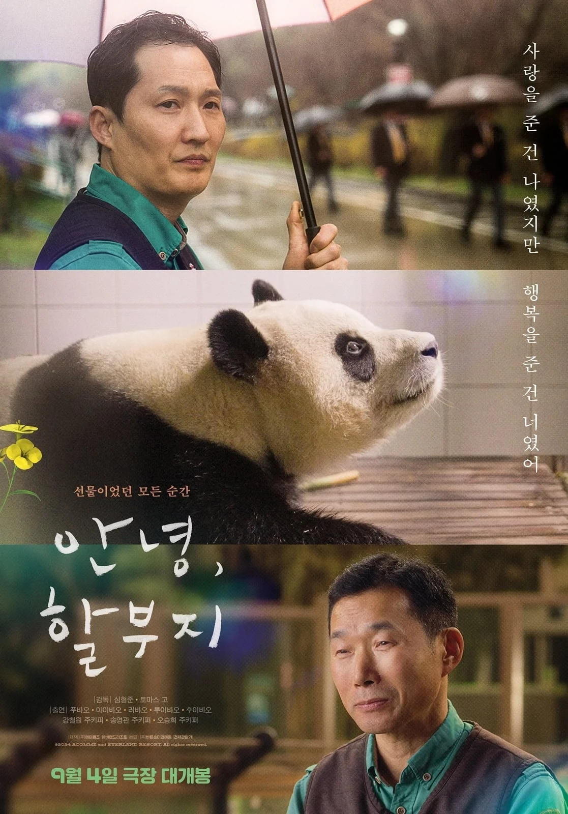 Xem phim Bảo Bối Của Ông - Full HD Vietsub